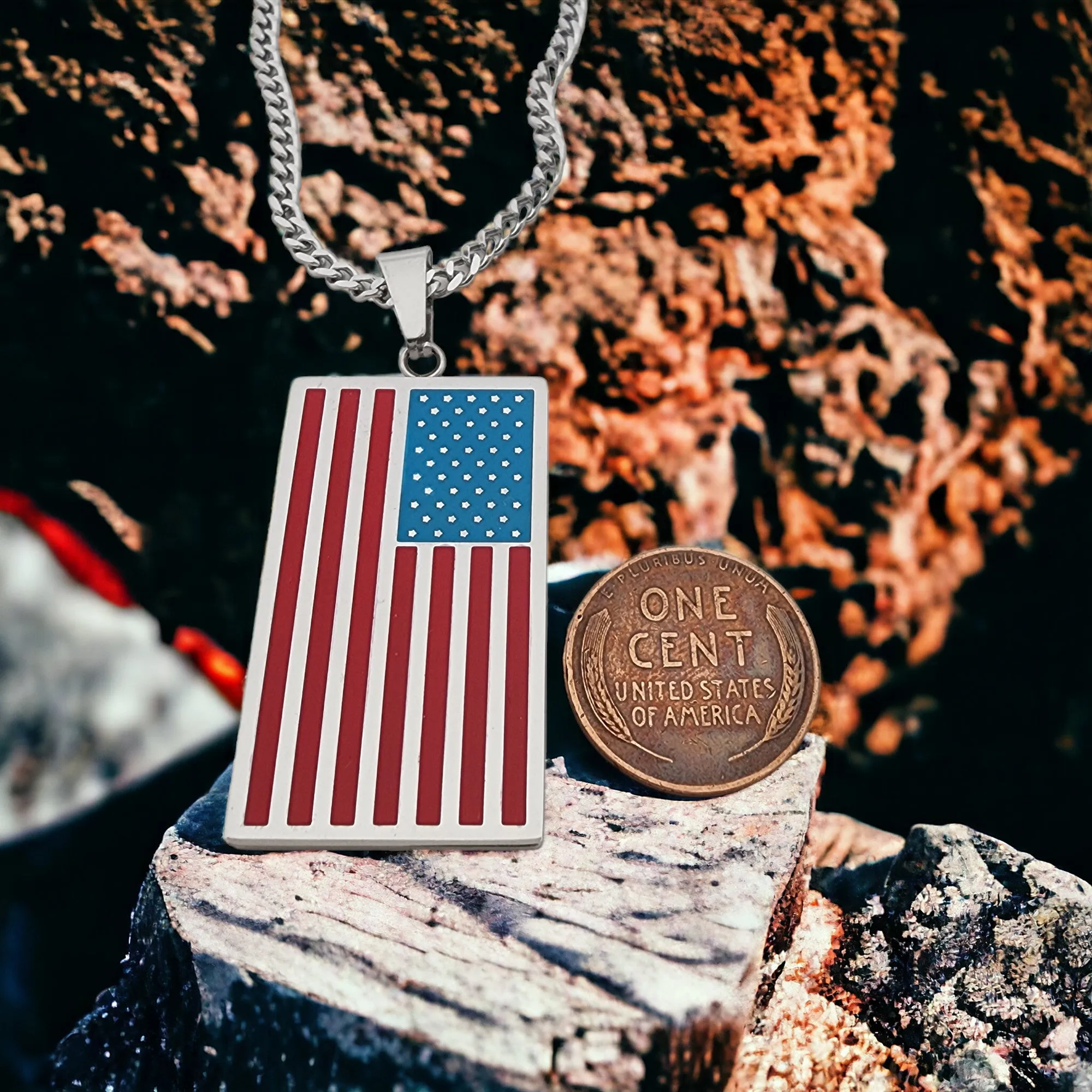 American Flag Tag Stainless Steel Curb Chain Necklace