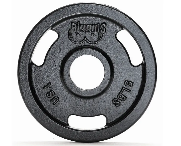 Biggins Iron - Machined Cast Iron Training Plates (PAIR)