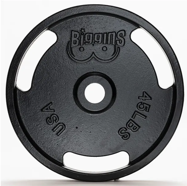 Biggins Iron - Machined Cast Iron Training Plates (PAIR)