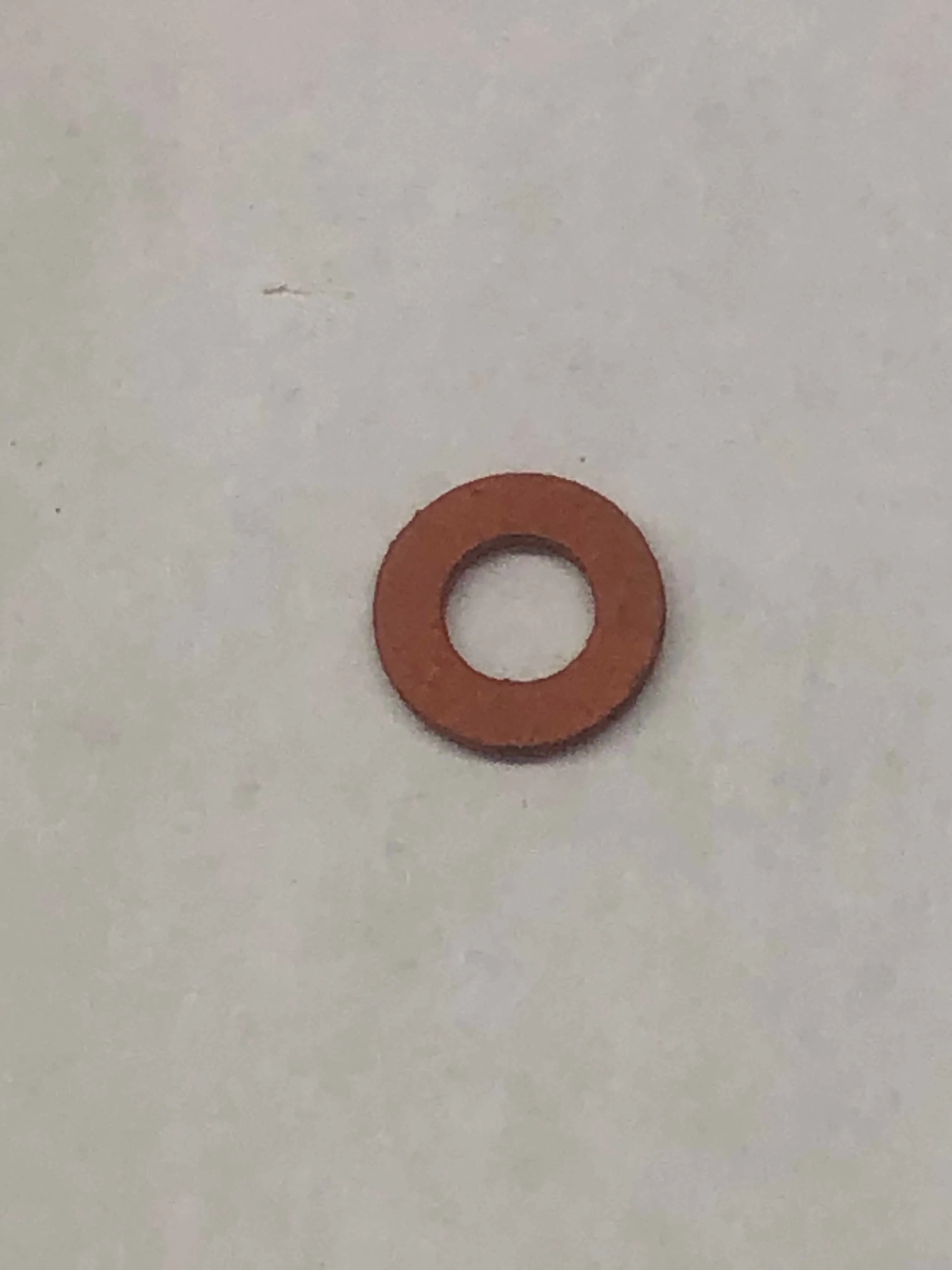 Bleeder Screw Washer - 10 x 5