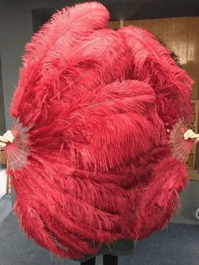 Burgundy intermediate 2 layers Ostrich Feather Fan 30"x 54"