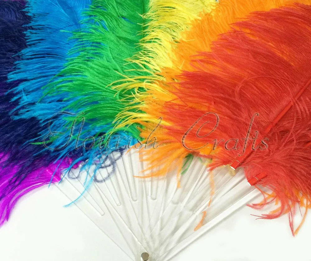 Rainbow single layer Ostrich Feather Fan Full open 180 degree 25"x 50"